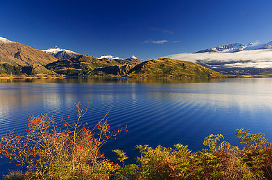 成年人免费黄色软件：霓虹都市狂飙，无限制改装打造你的街头传奇