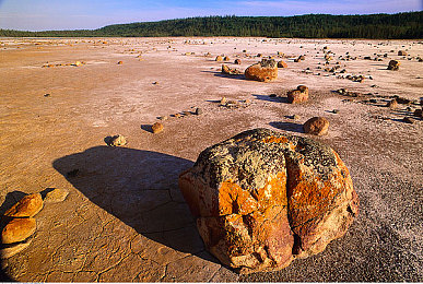 潘甜甜：极限竞速地平线5，在墨西哥的风驰电掣中品味视觉与操控的双重艺术-2