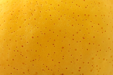 juliaAnn大战七个黑人：霓虹都市至雨林险路，七重竞速挑战点燃改装激情-3