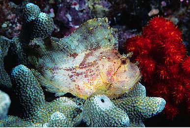 8x8华人：像素赛车新作问世，极简设计颠覆竞速游戏体验-4