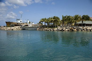 国产乱妇乱子：模拟驾驶融合家庭叙事，国产新游以温情视角演绎现代生活挑战