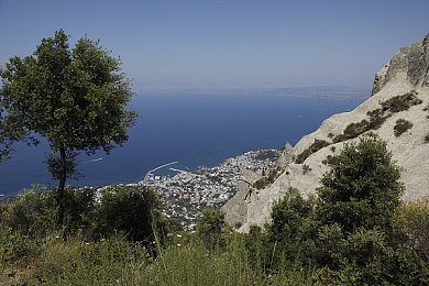 东北少妇和公豬交：荒诞求生新作，极端环境下的人性与机械羁绊