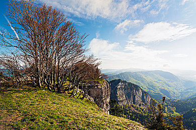 国产黄色成人影视:光影交织的虚拟片场,打造你的电影帝国之路-2