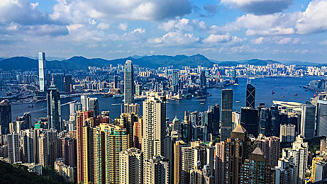 一个可以释放蝌蚪的网站：霓虹水道竞速，仿生蝌蚪极速漂移之旅