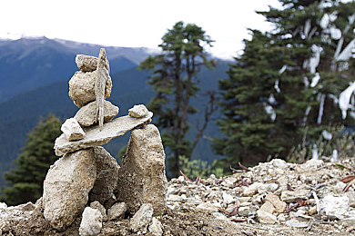 2023年黄色软件下载APP：2023年赛道幻影深度评测，揭秘柠檬黄超跑获取攻略与竞速技巧-3