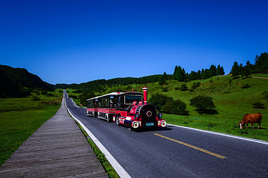 禁漫天堂免费A漫：极速墨线，驰骋手绘世界的狂想之旅