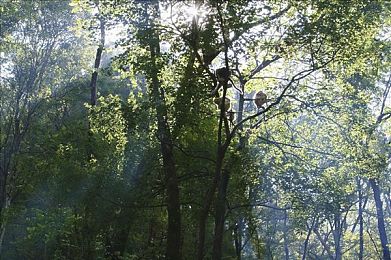 乱轮视频图片网站：都市谍影，指尖狂飙，信息迷雾中的极速博弈