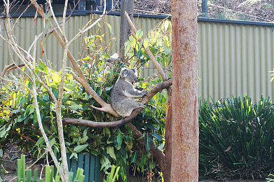 污网站入口:隐秘路径的终极泥泞征服之旅-3