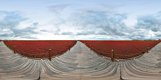 二区亚洲：霓虹山道，东方竞速美学的数字巡礼