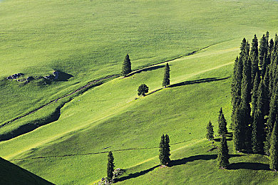 老师让我吃她胸 摸她奶:极速导师全新DLC上线,触觉反馈系统带来拟真驾驶亲密教学-2