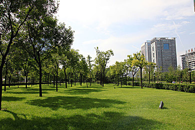 男女打扑克：策略卡牌驱动极速狂飙，全新竞速游戏颠覆传统玩法-3