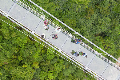 国内a片：国潮飞驰，虚拟赛道上的东方引擎崛起