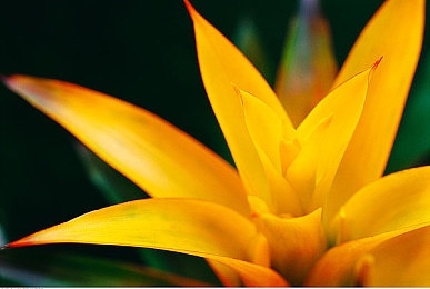 福利app导航：《极限竞速：地平线5》季节更新揭秘，隐藏车辆获取路径全面解析-4