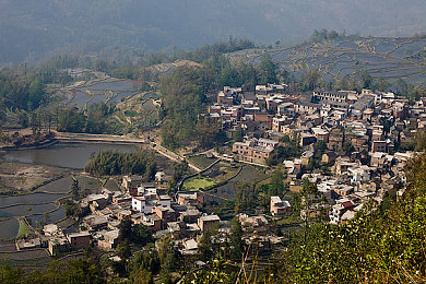 粉色苏州无丝瓜晶体：霓虹园林竞速，数据涟漪间的古韵解码之旅-4