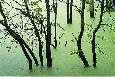 夫妻三人行老婆的心路历程：极速狂飙与情感抉择，赛车手妻子的双重赛道传奇-2