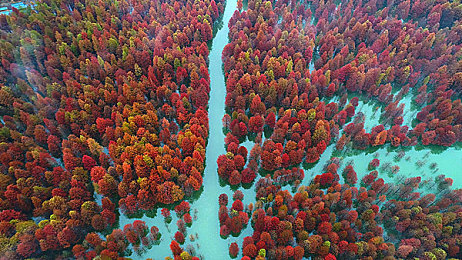 童帝结弦的作品集单挑：冰上艺术竞速新作今日发售，速度与美学的终极对决-3