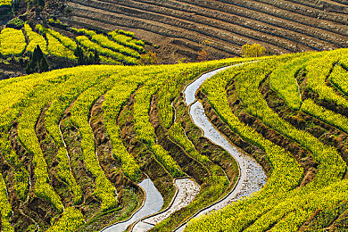 军官调教体育生：硬核军事竞速新作今日上线，体验战场驾驶与纪律训练融合之旅-3