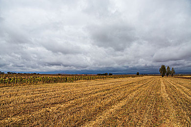 小黄人免费观看在线播放电视剧特色:复古竞速新作今日上线,免费畅玩剧情驱动像素赛车游戏-3