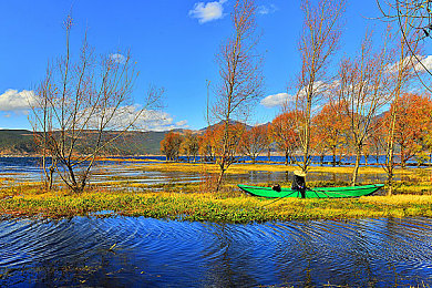 男女搞肌肌软件：健身竞速新游肌肉引擎上线，用真实力量驱动虚拟狂飙-4