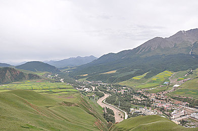 十大黄色软件。：竞速游戏个性涂装，打造你的专属黄色战车-3