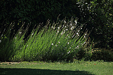 火辣福利引导：墨西哥狂飙之旅，极致竞速体验与视觉盛宴等你征服-2