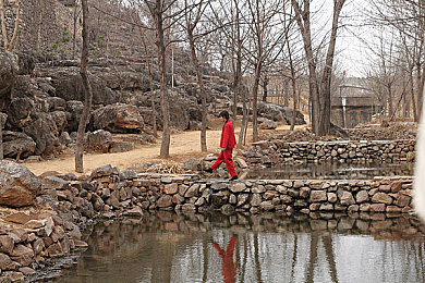 性别自由管成熟管成熟性格,情感：赛博都市情感新纪元，自由定义角色内在成长之路-3