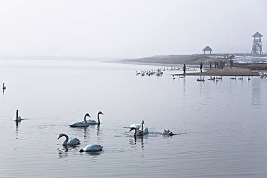 全新黄色软件下载免费：霓虹赛道风驰电掣，街头竞速新作今日免费开放下载