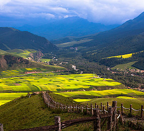 男生女生一起查查查的APP:竞速与推理交织,双人协作战场-2