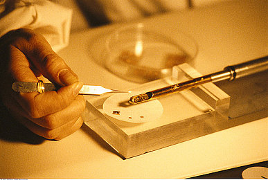 欧美肥臀大白屁股ass：曲线动力，美学竞速，重塑车辆艺术新形态-2