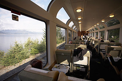 有风险的软件：驾驭数字幽灵，在赛博朋克狂飙中直面代码杀机-4