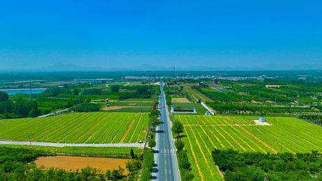 这么痛的扑克：当策略牌局点燃赛道的狂飙之魂-2