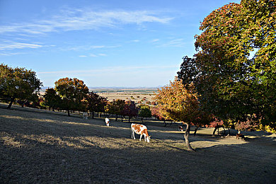 手机福利视频导航：地平线5视觉盛宴解锁指南，捕捉墨西哥绝景时刻-3