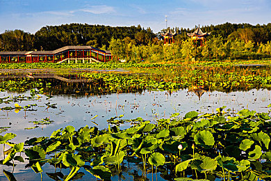 打扑壳又疼又叫：硬核新游极限车壳上线，玩家在虚拟碰撞中体验痛感与掌控