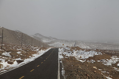 www黄色:墨西哥狂飙,地平线上的色彩与速度交响诗-2