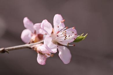 AV国产涩情:虚幻引擎5打造国产超跑竞速新作,感官冲击系统颠覆驾驶体验-2