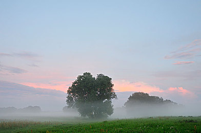 河南乱子伦视频国产：国产赛车新作引爆热议，深度解析极速风云独特道路体验-4