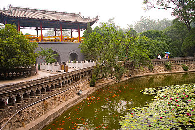 国产剧情自拍:《极速叙事者》今日上线,手握方向盘与镜头,亲历中国公路上的真实人生抉择-2