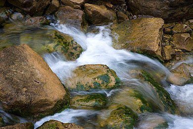 婷婷五月天丁香五月：风驰墨西哥，驶入繁花与自由的虚拟画卷-2