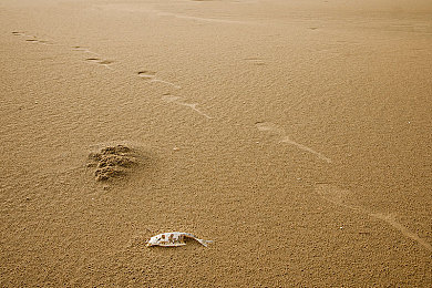 丈夫旁观娇妻3p:赛道边缘的凝视者,情感与油门的三角协奏曲-2