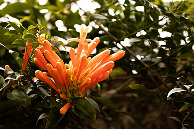 男生和女生一起修修修免费下载：汽修模拟新作上线，双人协作体验拆装乐趣-2