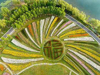 男生操女生的app：极速交锋，双性竞逐之赛道风云录-2