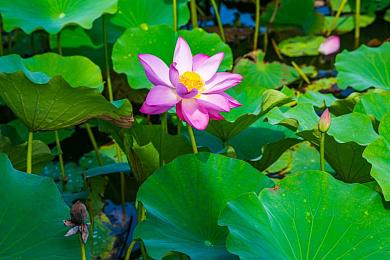 404 十大禁用软件：虚拟赛道上的公正，真实驾驶中的荣耀-2