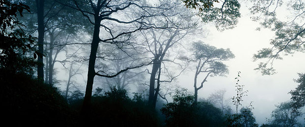 免费看黄的应用：驶向永不落幕的墨西哥金色黄昏-3