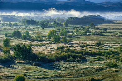 日批发的软件有哪些免费：每日更新海量内容，零门槛畅游免费赛车游戏世界