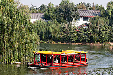 性按摩师满足少妇:深夜诊疗室,指尖重塑心灵图景-4