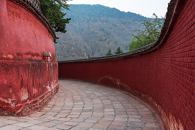 男干女软件：极速代码赛道革命，人机协同驾驶新体验-3