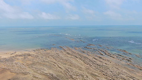 火影成人网：查克拉极速，忍术赛道上的策略竞逐-3