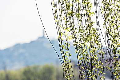 韩日一区二区:东亚双赛道争锋,极致竞速美学全解析-4