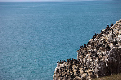 蝌蚪一个可以释放的新网站：《极速进化：赛道觉醒》今日上线，从初级座驾到终极赛车的蜕变之旅-3