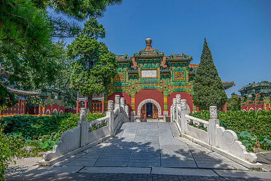 黄色oppo免费：地平线玩家新宠，亮色涂装免费获取攻略与社区文化探秘-4